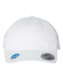 EcoWash Dad Hat