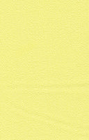 Ghost Crepe Bubble Woven Fabric