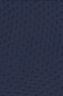 1 Yard Solid Swiss Dot Chiffon Fabric 100% Polyester Lightweight Sheer 57/58" Wide