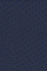 1 Yard Swiss Dot Chiffon Solid Woven Fabric Lightweight Sheer Drapery 57/58" Width