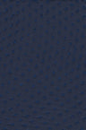 Swiss Dot Chiffon Fabric