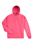 Ecosmart Hooded Sweatshirt