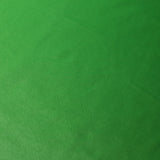 Cire Raschel Nylon Spandex Fabric - Solid Colors, 58/60" Width (1 Yard)
