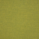 Sunbrella Rally Leaf Acrylic Fabric - Green Leaf, 54" Width (By The Yard)