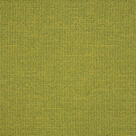 Sunbrella Rally Leaf Acrylic Fabric - Green Leaf, 54" Width (By The Yard)