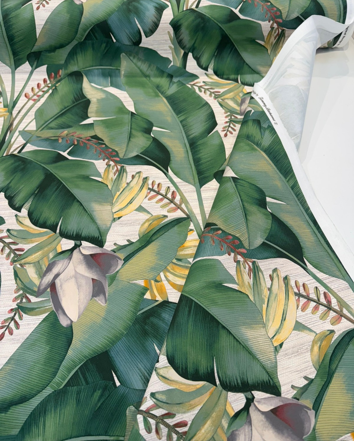 Among Fronds Aloe Cotton Fabric - Leaf Green, Bottle Green, Aloe, Rose, Golden Botanical Print, 54" Width (1 Yard)