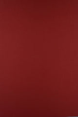 DTY Brushed Stretch Knit Fabric