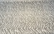 Sunbrella Panthera Cloud Acrylic Fabric - Cloud Gray Animal Pattern, 54" Width (By The Yard)