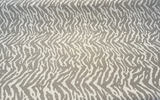 Sunbrella Panthera Cloud Acrylic Fabric - Cloud Gray Animal Pattern, 54" Width (By The Yard)