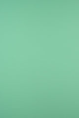 DTY Brushed Stretch Knit Fabric