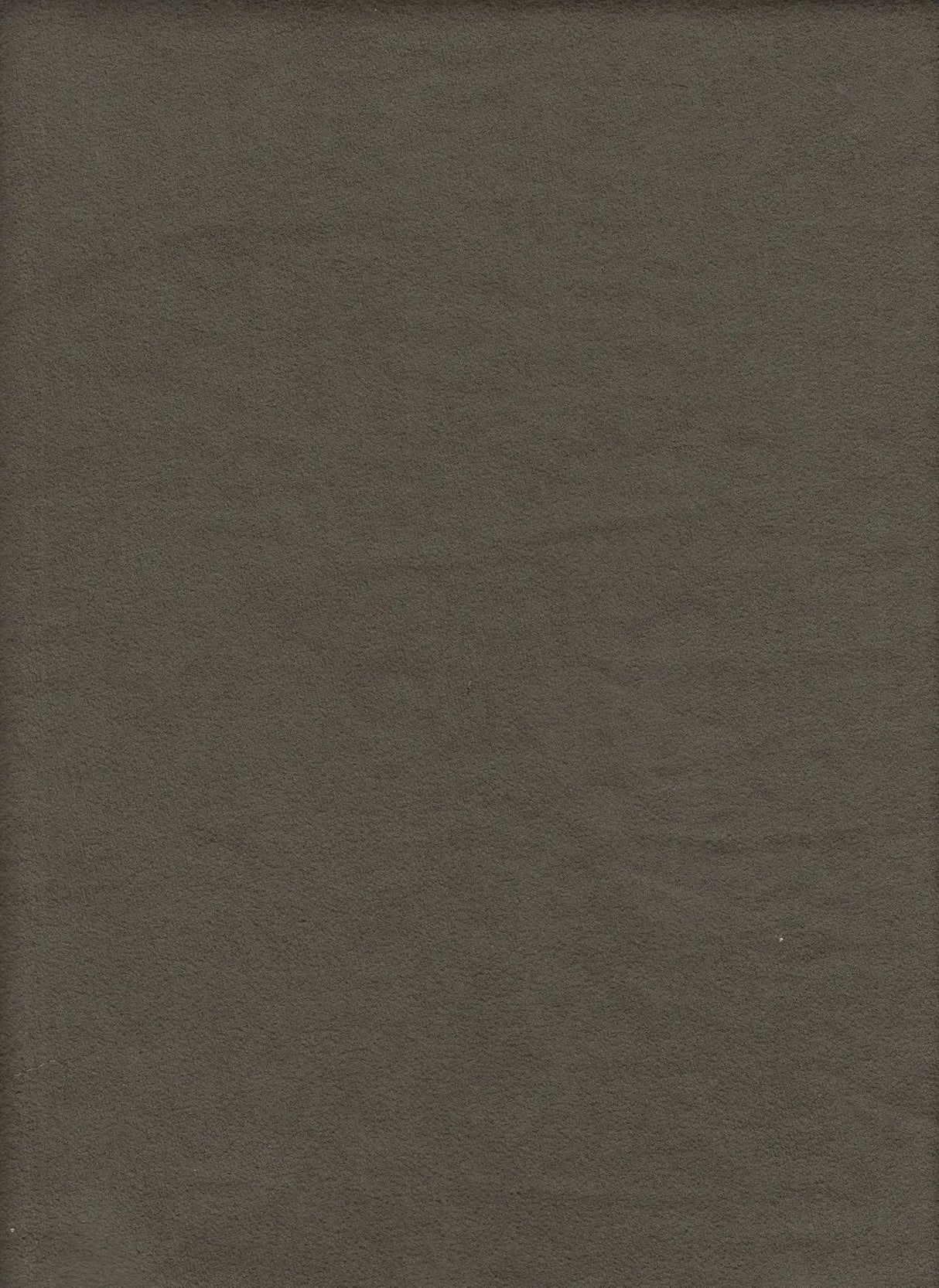 1 Yard Solid Suede French Terry Knit Fabric 240 GSM, 59/61? Wide 100% Polyester Olive