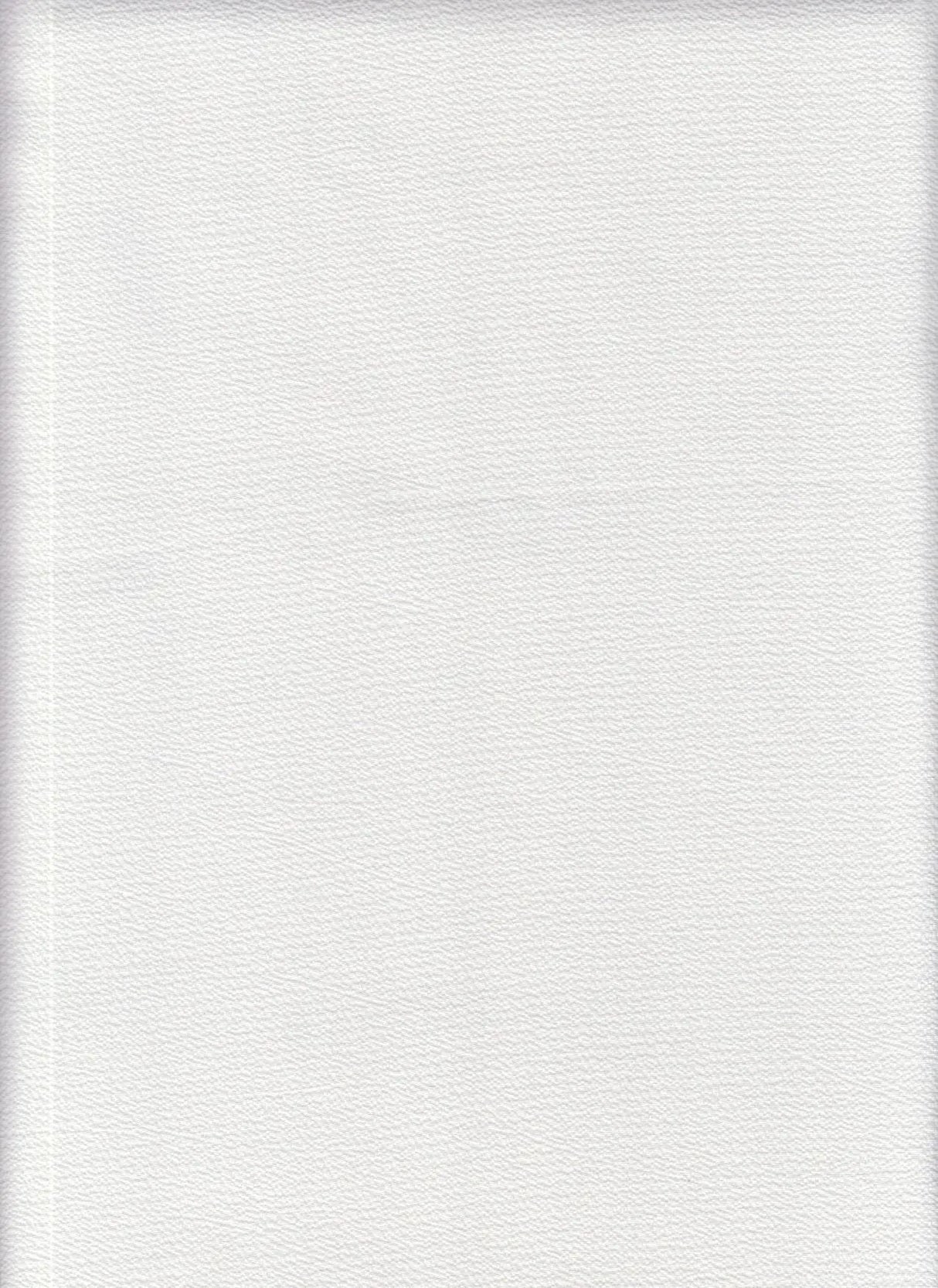 Solid Ghost Bubble Crepe Fabric, Lightweight Textured Stretch 57/58" Wide for Apparel