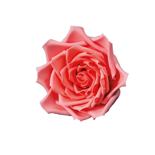 FMM Sugarcraft Large Rose Petal, Set of 3 Plastic Gumpaste Cutters