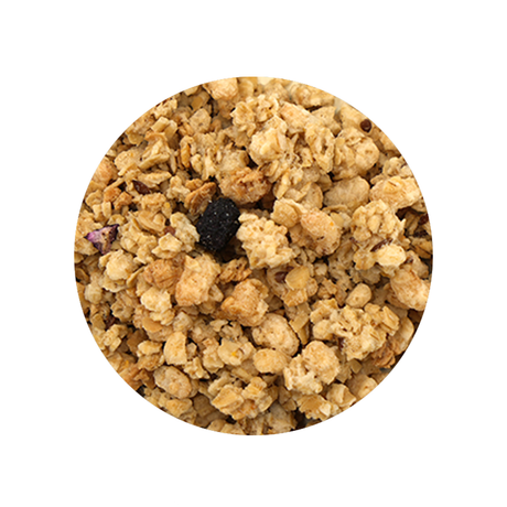 Blueberry Flax Granola Cereal - Bulk Bin 2725 (25 pounds)
