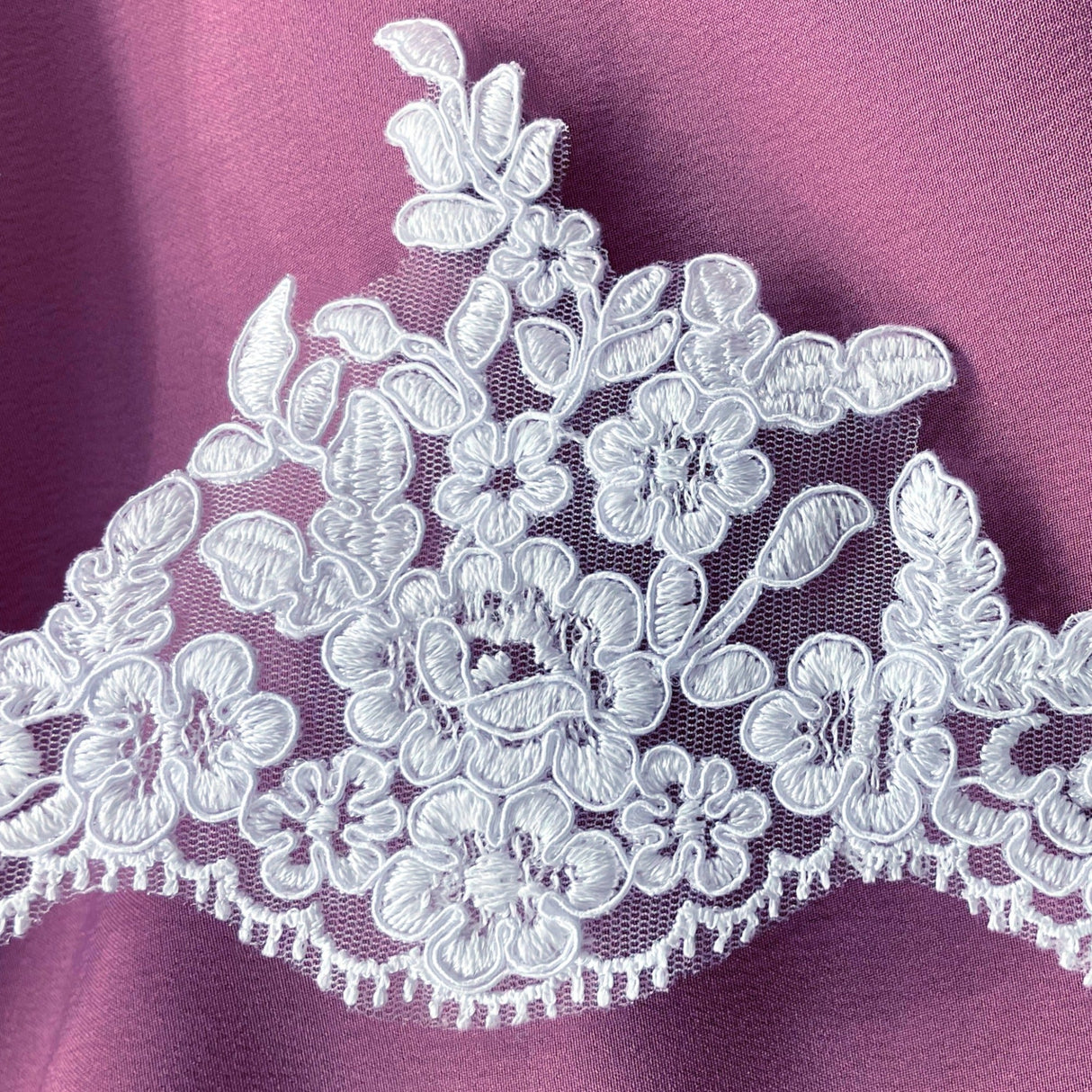 Embroidered Corded Lace Trim White