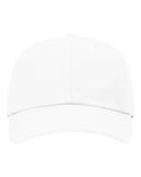 Sustainable Ashland Dad Hat