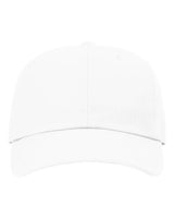 Sustainable Ashland Dad Hat