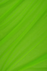 Mesh Stretch Solid Fabric