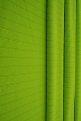 Rib Stretch Knit Fabric Solid