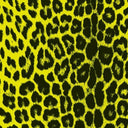 Printed Spandex Panthere Leopard Animal Print