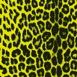 Printed Spandex Panthere Leopard Animal Print