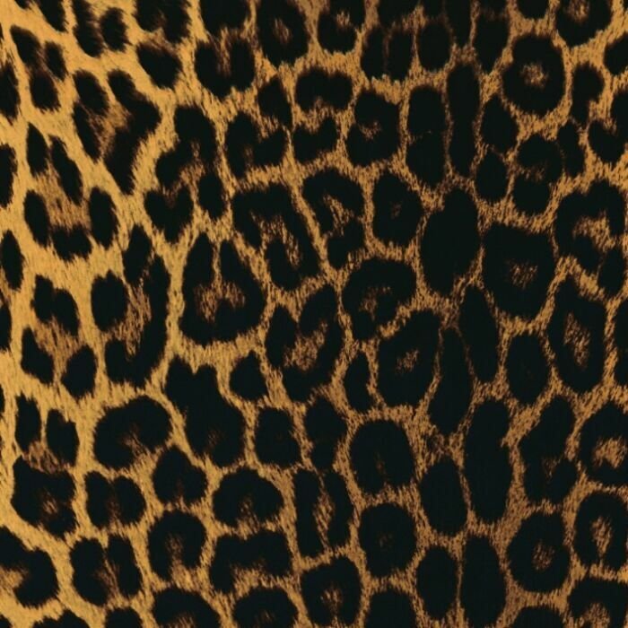 Printed Spandex Panthere Leopard Animal Print