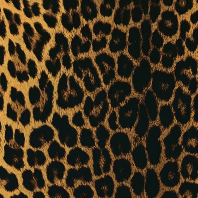 Printed Spandex Panthere Leopard Animal Print