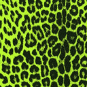Printed Spandex Panthere Leopard Animal Print