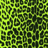 Printed Spandex Panthere Leopard Animal Print