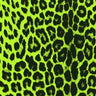 Printed Spandex Panthere Leopard Animal Print