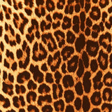 Printed Spandex Panthere Leopard Animal Print