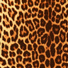 Printed Spandex Panthere Leopard Animal Print