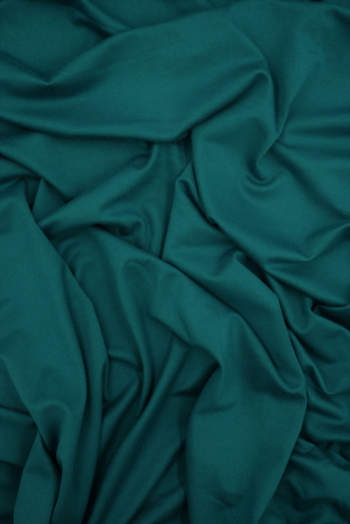 DTY Brushed Stretch Knit Fabric