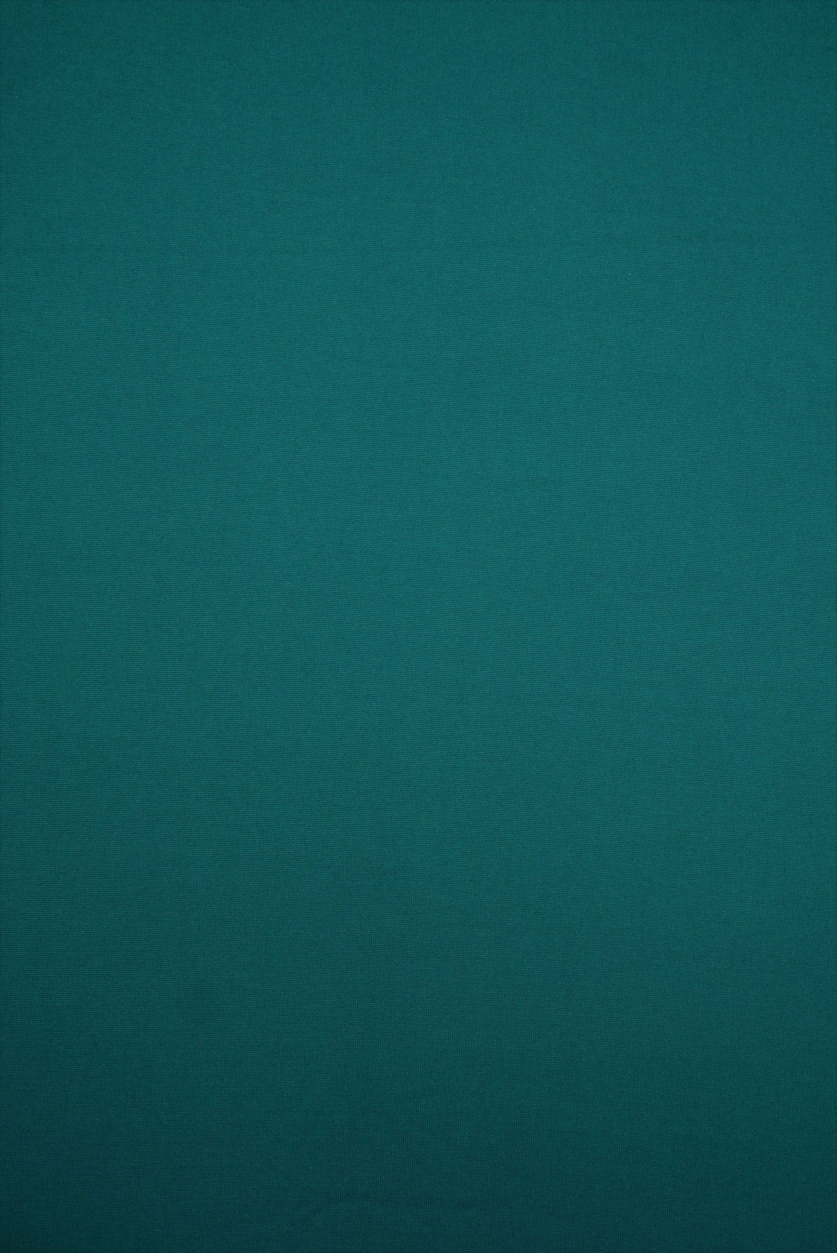 DTY Brushed Stretch Knit Fabric