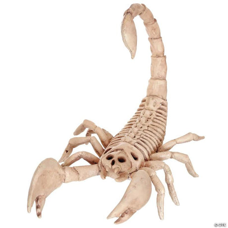 Detailed Scorpion Skeleton Halloween Decoration in Durable Plastic, showing a detailed skeletal bone design