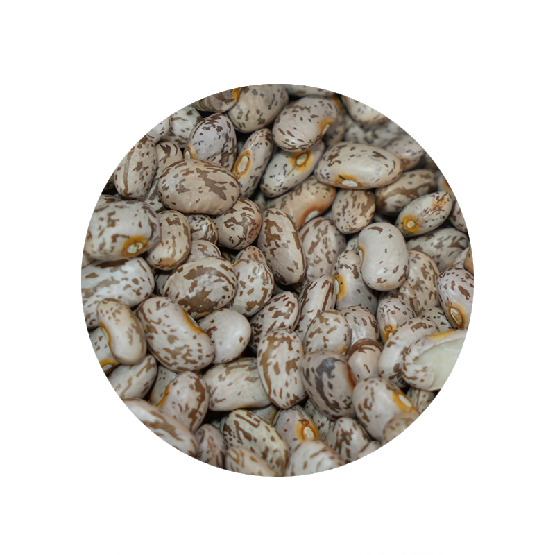 Bulk Foods - Pinto Beans - Bulk Bin 1636 (25 pounds)