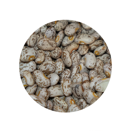 Bulk Foods - Pinto Beans - Bulk Bin 1636 (25 pounds)