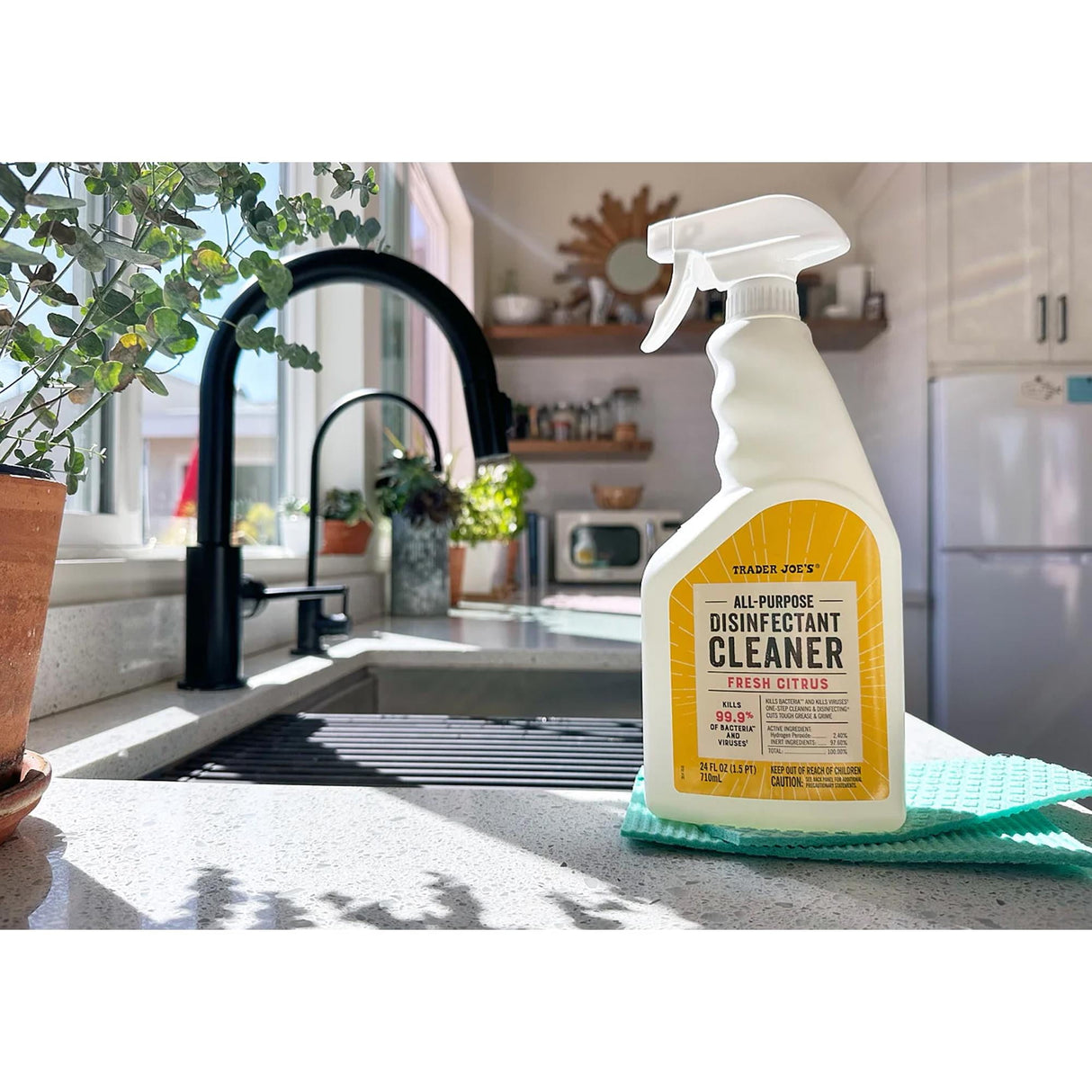 Trader Joe’s All Purpose Disinfectant Cleaner | 24 Fl Oz