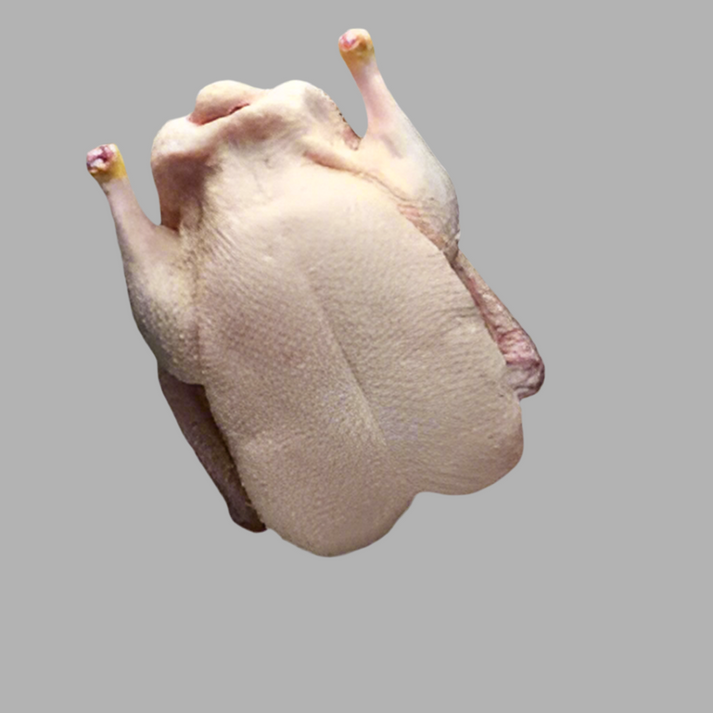 M-Frozen Duck Meat Small Cut