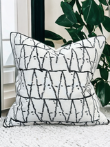 Viva015 White Velvet Pillow - Black Embroidered Abstract, Thick Border, 20" X 20" (1 Piece)