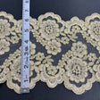 Embroidered Mesh Corded Lace Trim