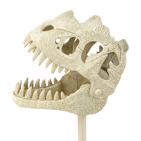 Dinosaur Fossil Snapper With Sound (1 PC)