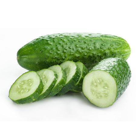 Pioneer F1 Hybrid Cucumber Seeds Heirloom Pickling Cucumber High Yield Cucumis Sativus Open Pollinated Non GMO