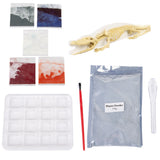 Crocodile Dig Figure Augmented Reality Craft Set