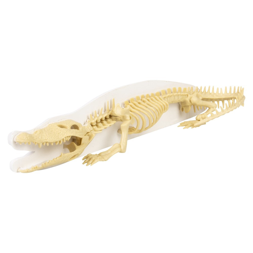 Crocodile Dig Figure Augmented Reality Craft Set