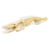 Crocodile Dig Figure Augmented Reality Craft Set