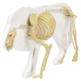 Augmented Reality Lion Dig Figure