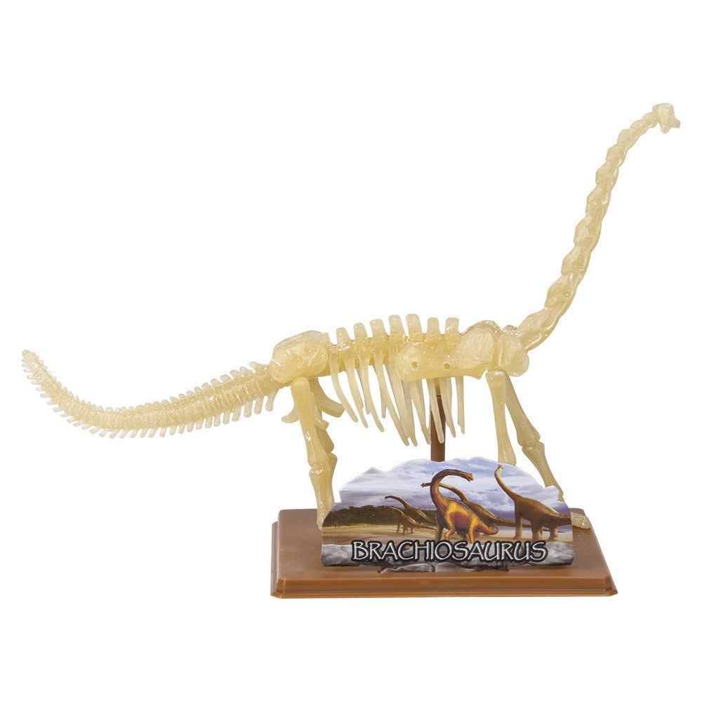 Dinosaur Dig Figure Brachiosaurus Augmented Reality