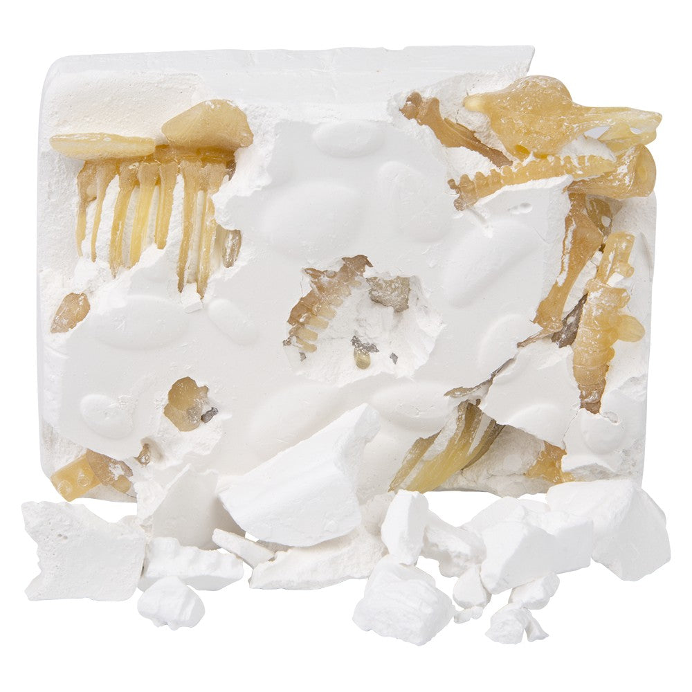 Dinosaur Dig Stegosaurus Figure (1 PC)