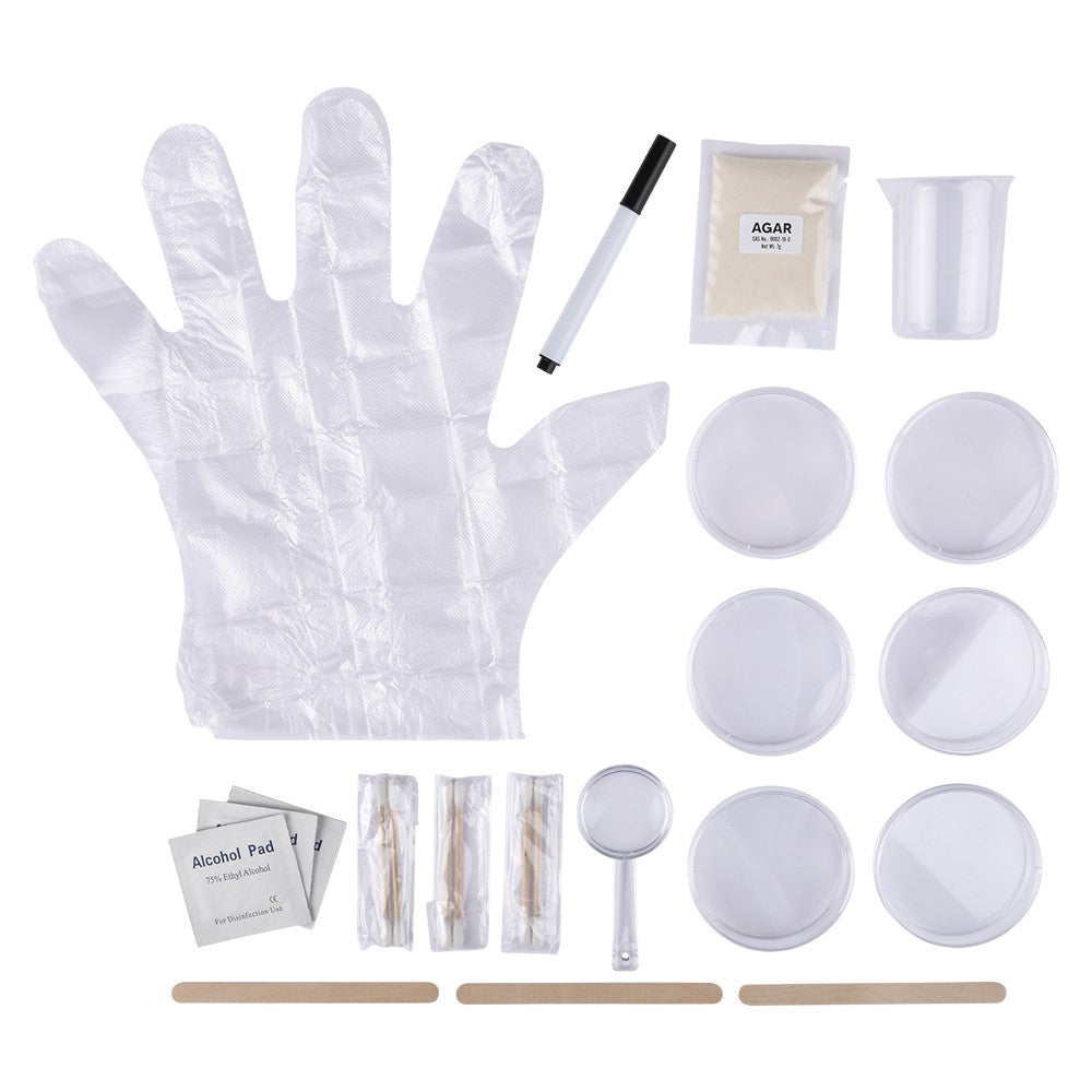 Bacteria Science Kit (1 PC)